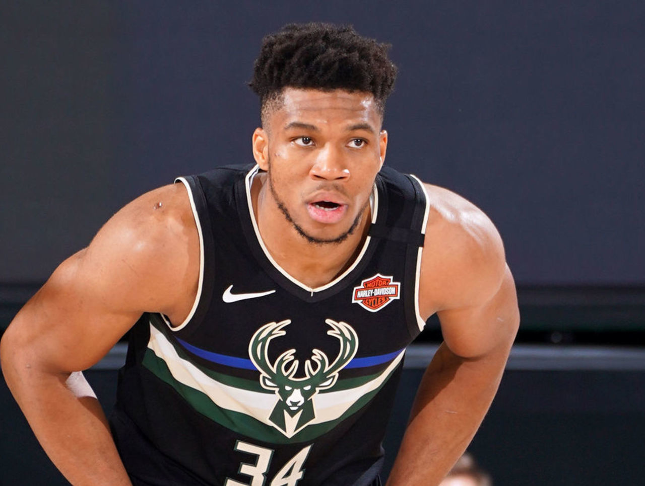 在高水平的 在高水平的