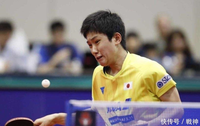 郑钦文的成 郑钦文的成